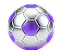 world cup